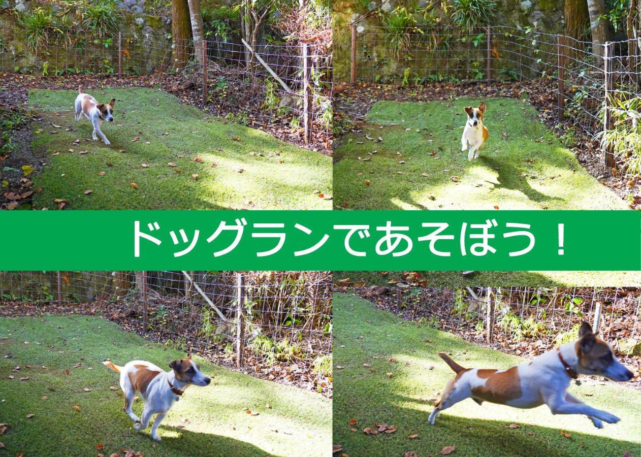 Villa Liberte Hakone Gora Екстер'єр фото